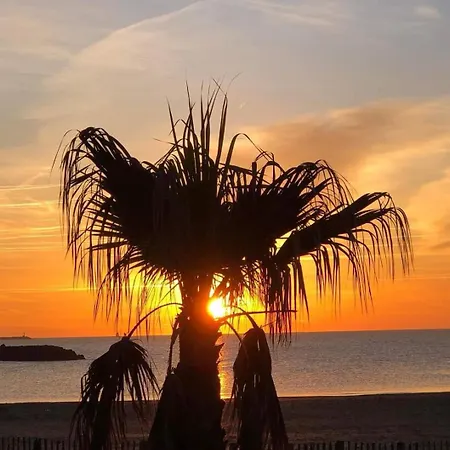 Les Caraibes Cap D'agde - Centre Port- Parking Gratuit-terrasse - Wifi 5g