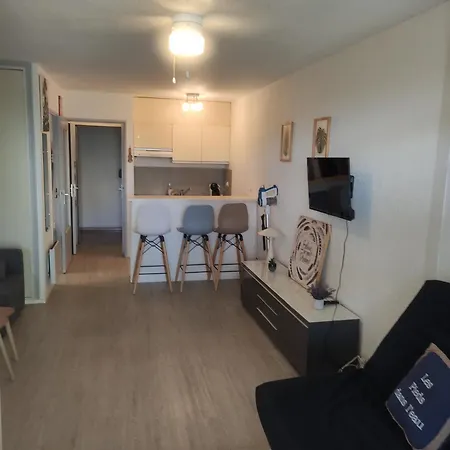 Apartmán Les Caraibes Cap D'agde - Centre Port- Parking Gratuit-terrasse - Wifi 5g