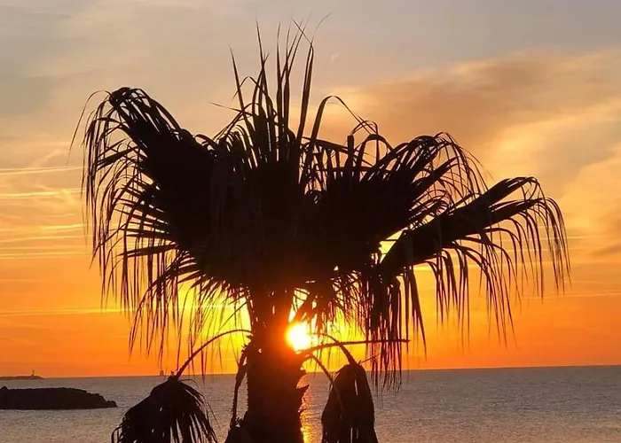 Les Caraibes Cap D'agde - Centre Port- Parking Gratuit-terrasse - Wifi 5g