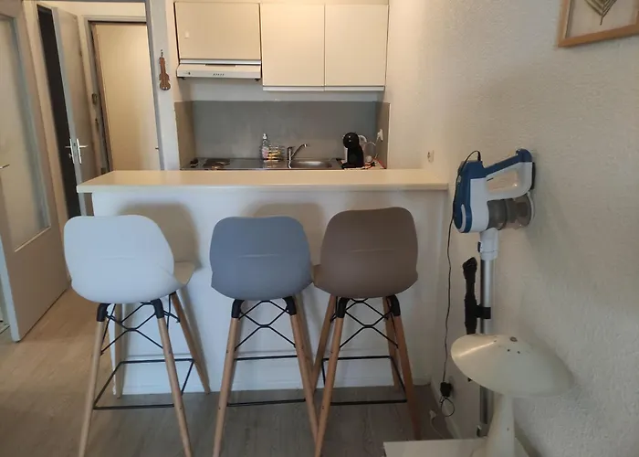 Les Caraibes Cap D'agde - Centre Port- Parking Gratuit-terrasse - Wifi 5g 公寓