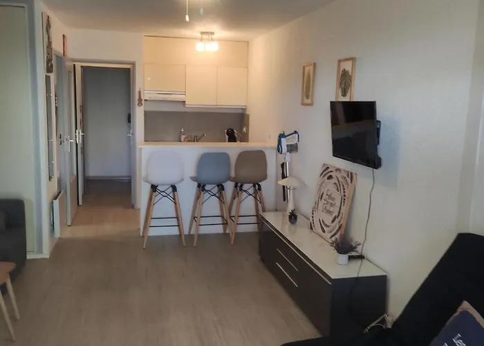 公寓 Les Caraibes Cap D'agde - Centre Port- Parking Gratuit-terrasse - Wifi 5g