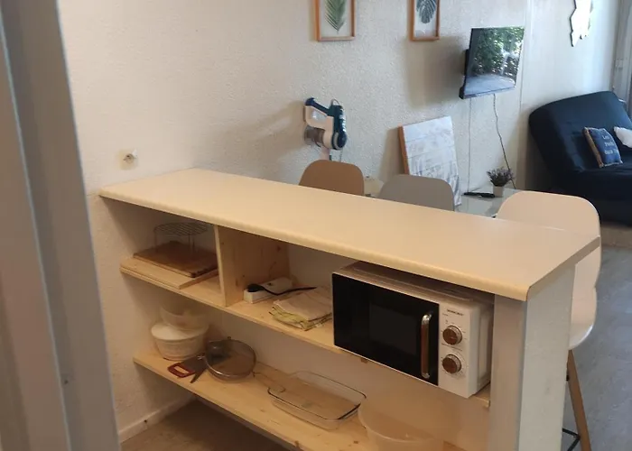 Les Caraibes Cap D'agde - Centre Port- Parking Gratuit-terrasse - Wifi 5g 阿格德
